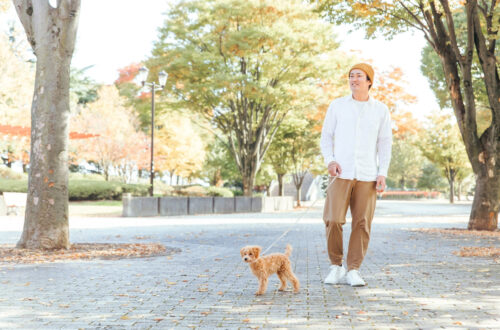 男性　犬の散歩